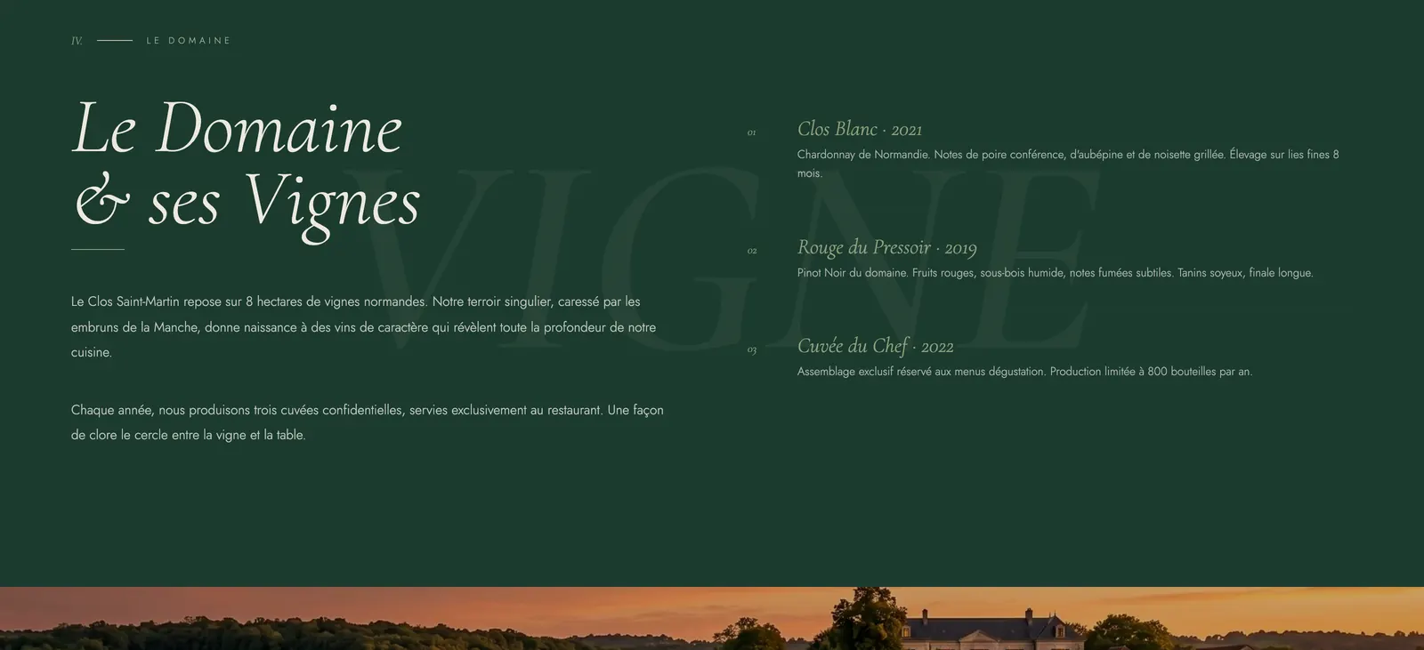 Le Clos Saint-Martin — le domaine et ses vignes, vue aérienne